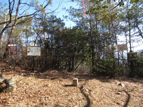 登山道